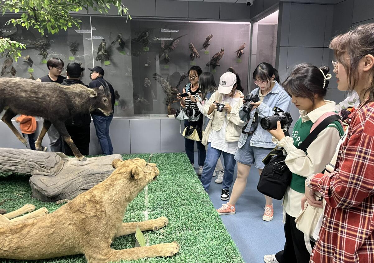 古天乐代言太阳集团城