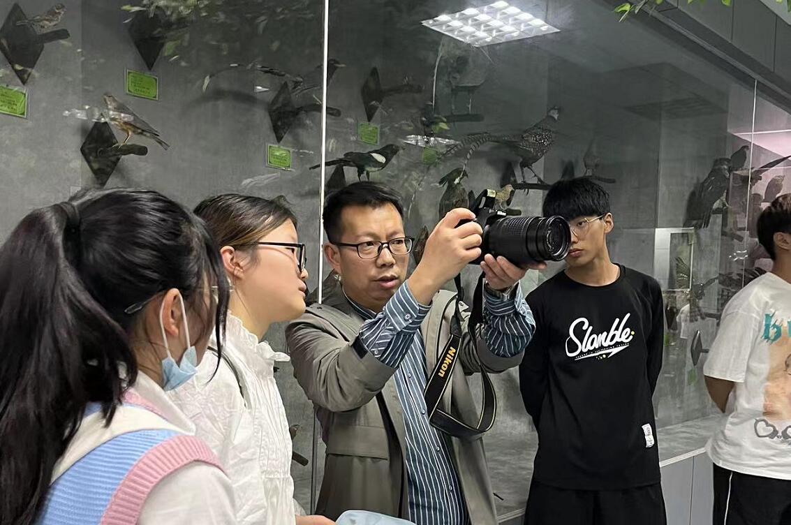 古天乐代言太阳集团城