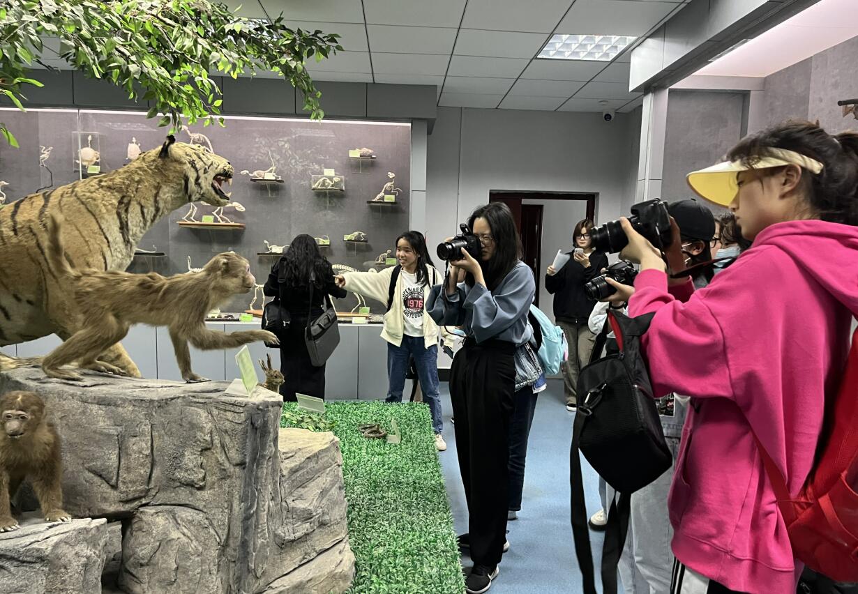 古天乐代言太阳集团城